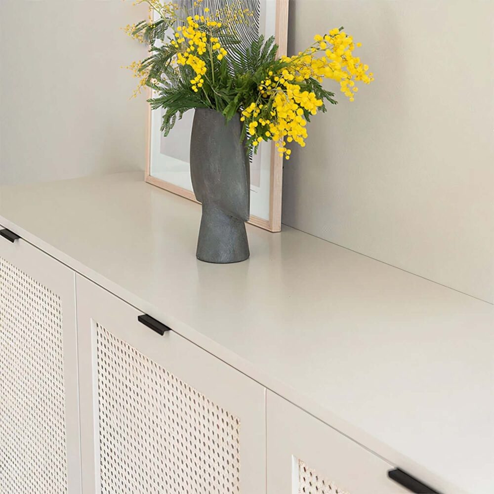 Linda cabinet with fresh white