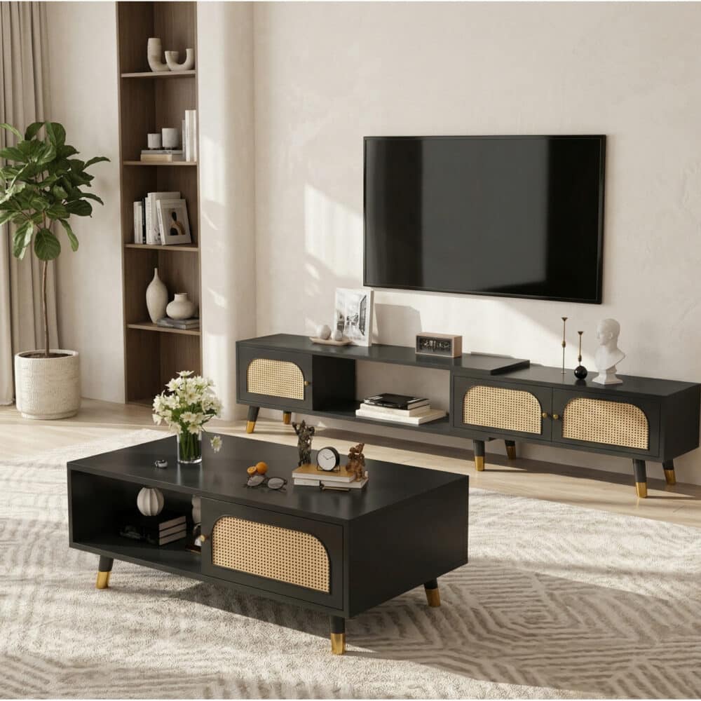Scandinavian Black Rectangle Shelves Cabinet TV Stand 商品主图 scene