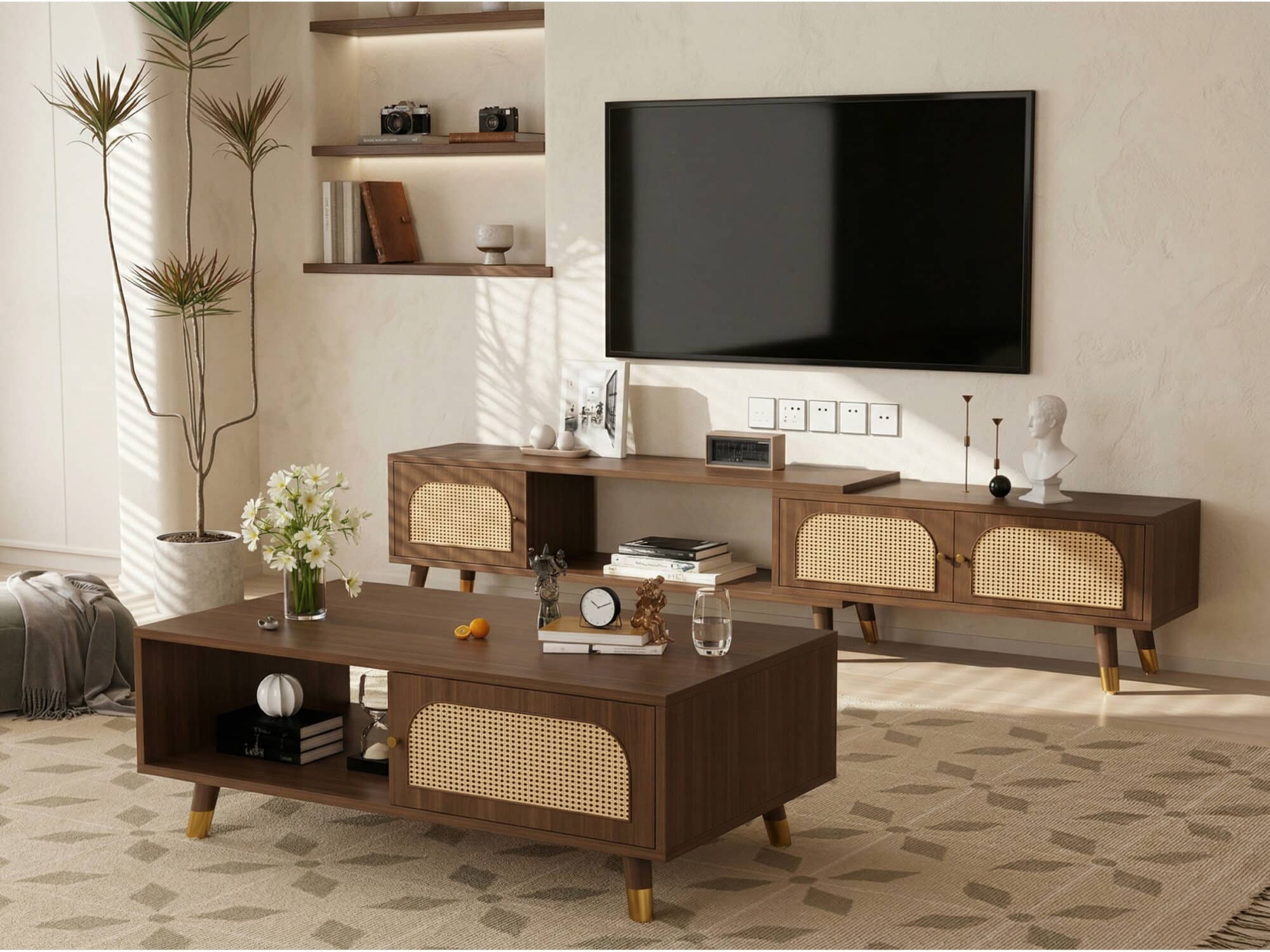 Scandinavian Black Rectangle Shelves Cabinet TV Stand 相册图 #3 scene